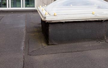 disadvantages of Greenhills flat roofs